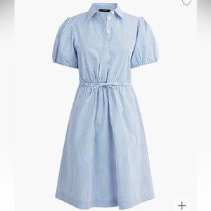 J Crew NWOT Banker Blue Striped Dress Size 0P